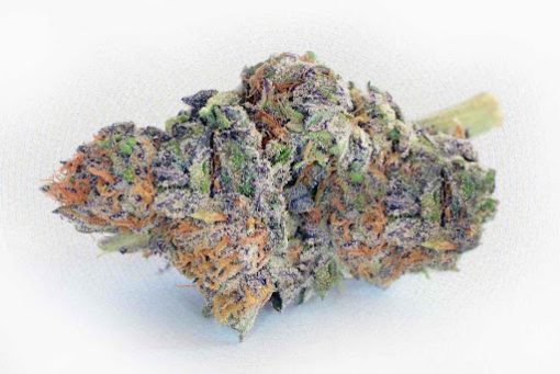 BUY PURPLE URKLE STRAIN