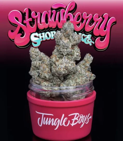 STRAWBERRY SHORTCAKE JUNGLEBOYS