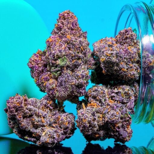 1a81cc8c-17bf-45b5-9ba3-b386ef6f490c-510x510-1.jpeg Purple Kush - Image 1