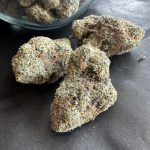Buy Purple Haze Weed Strain