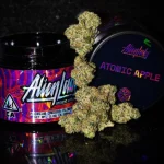 SOUR APPLE STRAIN