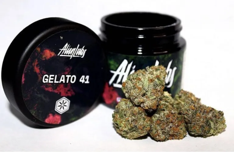 GELATO-41-ALIEN-LABS-1.webp ALIEN LABS GELATO 41 - Image 1