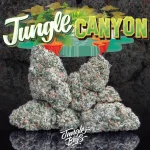 TOPANGA CANYON STRAIN