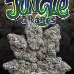 MODIFIED GRAPES STRAIN