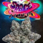 SPACE CENTER STRAIN