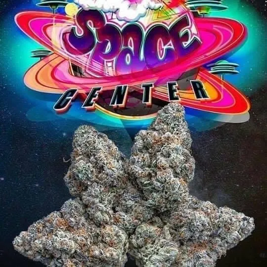 SPACE-CENTER-JUNGLEBOYS.webp SPACE CENTER STRAIN - Image 1