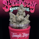 STRAWBERRY SHORTCAKE STRAIN