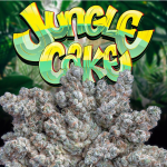 JUNGLE CAKE STARIN
