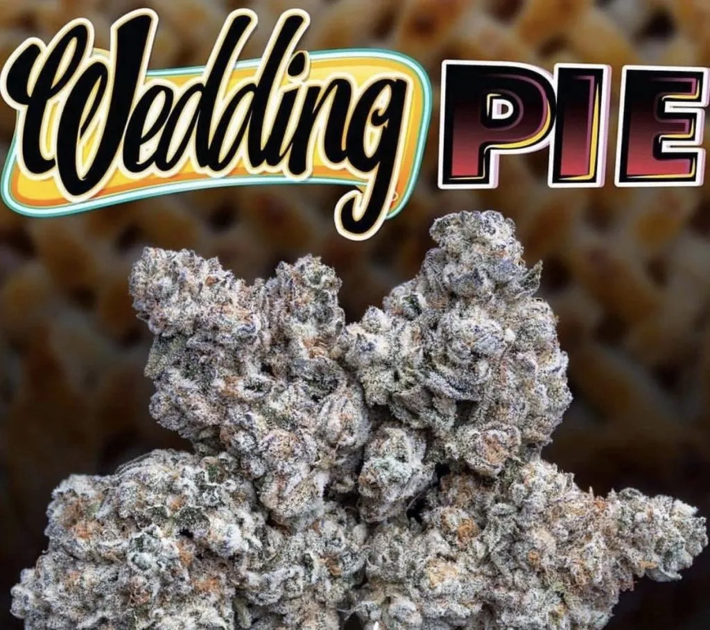 WEDDING-PIE-JUNGLEBOYS-1.webp WEDDING PIE STRAIN - Image 1