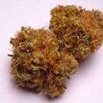 Ak 47