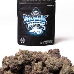 Shark Bite strain