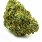 Gelato Strain