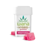 WATERMELON (REC) // HYBRID