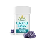 BLUEBERRY LEMONADE (HIGH-DOSE MED) // INDICA