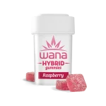RASPBERRY (REC) // HYBRID
