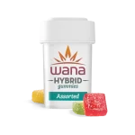 ASSORTED FLAVORS (REC) // HYBRID