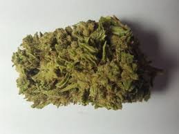 jack-hearer.jpeg Jack Herer - Image 1