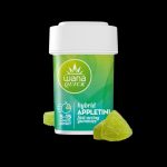 APPLETINI (REC) // HYBRID