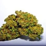 Sour Patch Strain