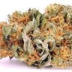 Train Wreck Weed