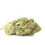 Trainwreck Strain
