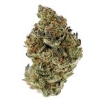 White Grapefruit